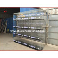 Cheap Price Pigeon Cage/Pigeon Breeding Cage/Racing Pigeon Cage